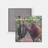 Backpacking Borneo Orangutan Magnet (Vorderseite/Rückseite)