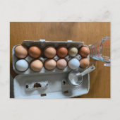 Backpostkarte Postkarte (Vorderseite)