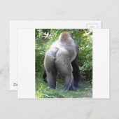 Backside of Gorilla Postkarte (Vorne/Hinten)