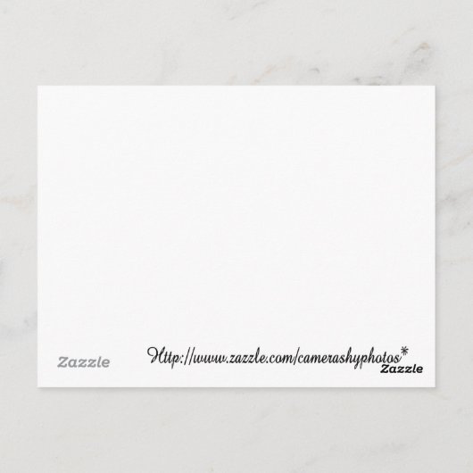 Backtools Rezept Karte (Rückseite)