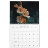 Backyard Beauty Wall Kalender (Jan 2027)
