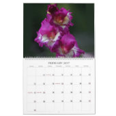 Backyard Beauty Wall Kalender (Feb 2027)