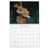 Backyard Beauty Wall Kalender (Jan 2026)