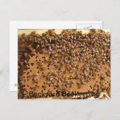 Backyard Beekeping Postkarte (Vorne/Hinten)