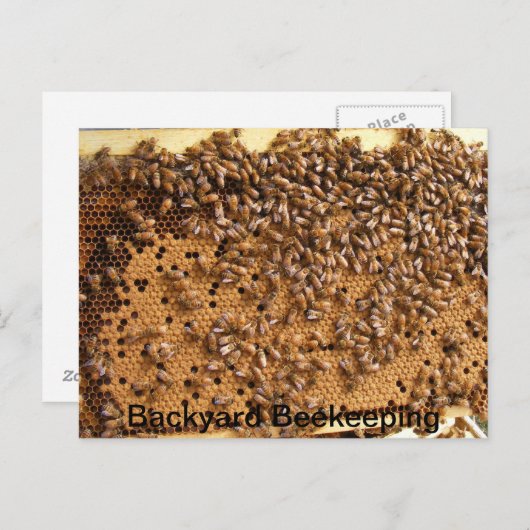 Backyard Beekeping Postkarte (Vorne/Hinten)