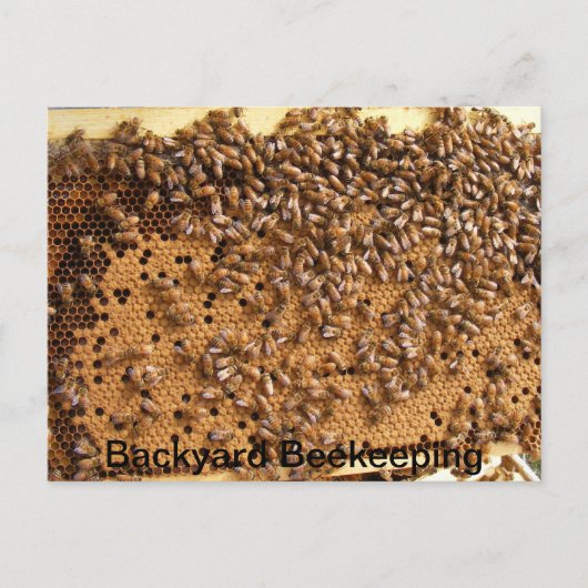 Backyard Beekeping Postkarte (Vorderseite)