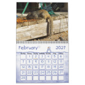 BACKYARD-BESUCHER KALENDER (Feb 2027)