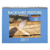 BACKYARD-BESUCHER KALENDER (Titelbild)