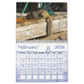 BACKYARD-BESUCHER KALENDER (Feb 2026)