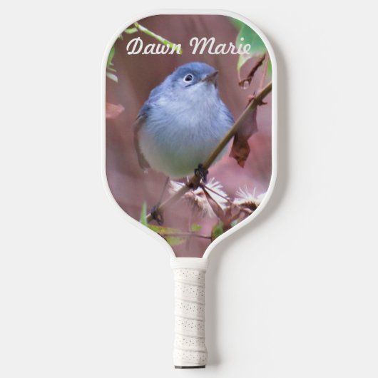 Backyard Bird - Blue-Gray Gnatcather Personalisier Pickleball Schläger (Vorderseite)