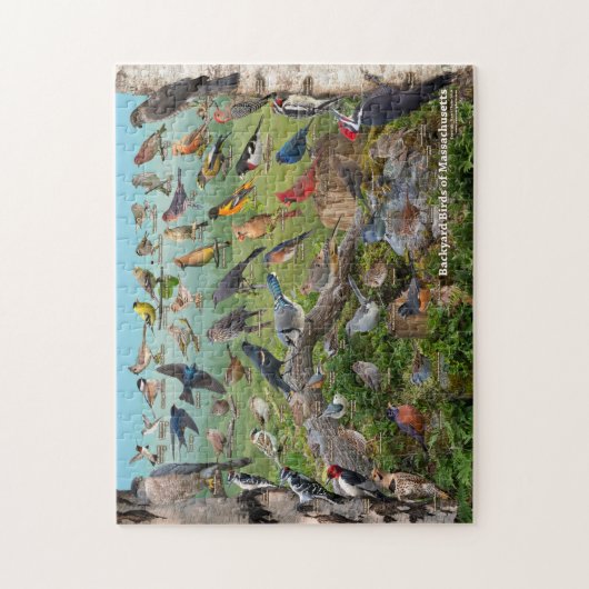 Backyard birds of Massachusetts Puzzle (Vertikal)