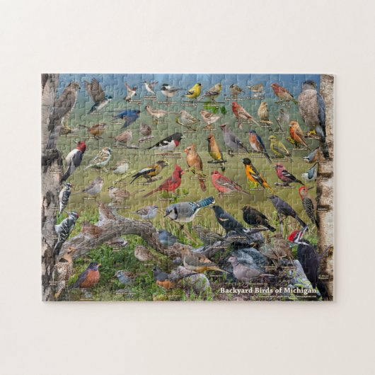 Backyard Birds of Michigan Puzzle (Horizontal)