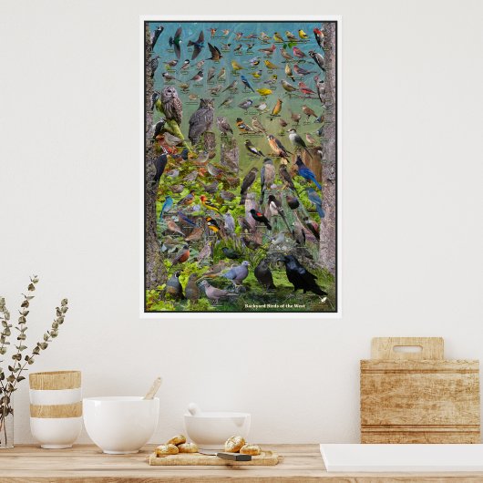 Backyard Birds of the West Special Edition Poster (Küche)