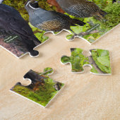 Backyard Birds of Washington Puzzle (Seite)