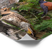 Backyard Birds of West Virginia Poster (Ecke)