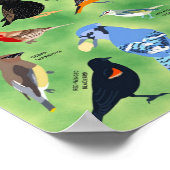Backyard Birds of Wisconsin Poster (Ecke)