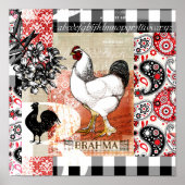 Backyard Chickens B ist für Brahma Poster (Vorne)