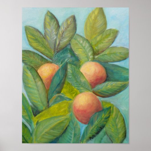 BACKYARD FLORIDA ORANGES Poster (Vorne)