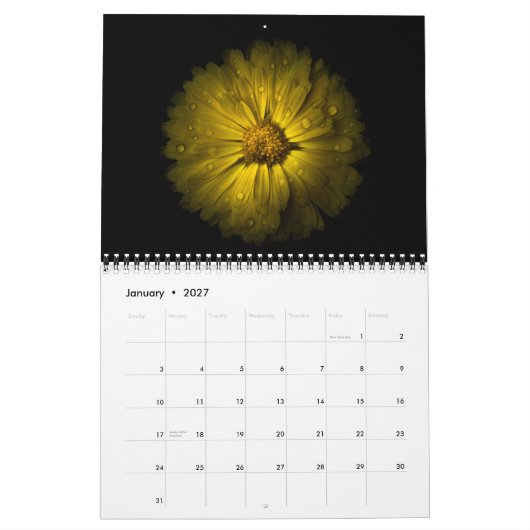 Backyard Flowers 10 Color Version Kalender (Jan 2027)