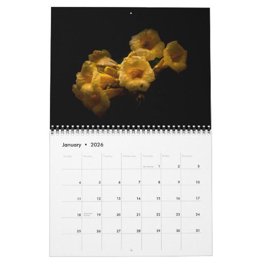 Backyard Flowers 63 Color Version Kalender (Jan 2026)