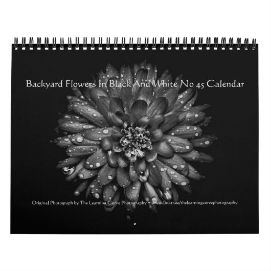 Backyard Flowers In Black And White No 45 Kalender (Titelbild)