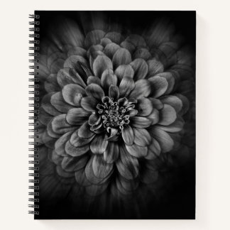 Backyard Flowers In Black And White No 54 Flow Notizblock