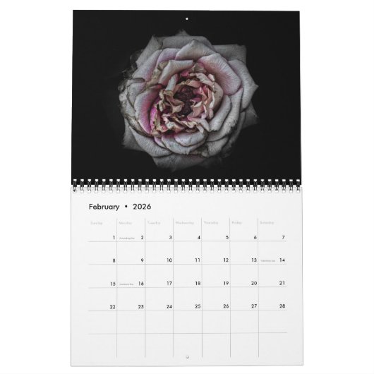 Backyard Flowers No 110 Color Version Kalender (Feb 2026)