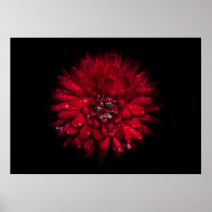 Backyard Flowers No 45 Color Version Poster