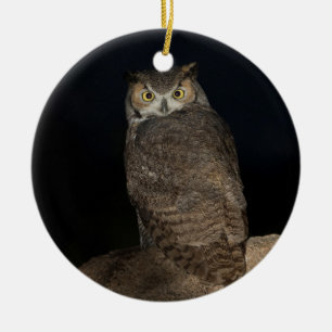 Backyard Great Horned Owl Keramik Ornament