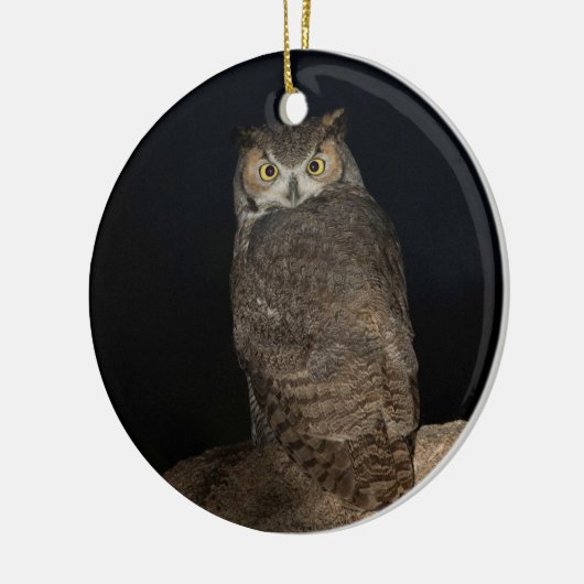 Backyard Great Horned Owl Keramik Ornament (Links)