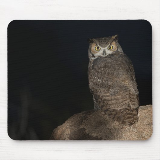 Backyard Great Horned Owl Mousepad (Vorne)