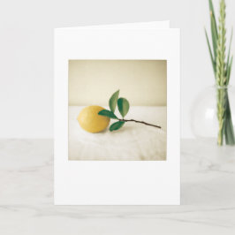 Backyard Meyer Lemon Foto Painting Blank Karte