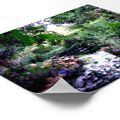 Backyard Pond Poster (Ecke)