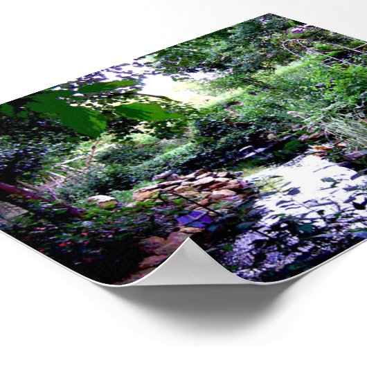 Backyard Pond Poster (Ecke)
