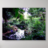 Backyard Pond Poster (Vorne)