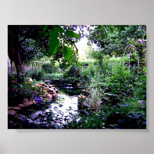 Backyard Pond Poster (Vorne)