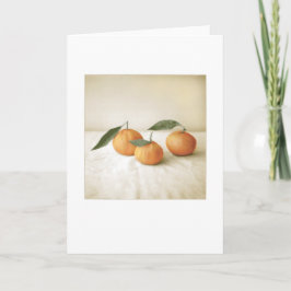 Backyard Satsuma Orange Foto Painting Blank Karte