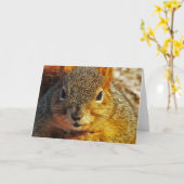 Backyard Squirrel Greeting cards Karte (Gelbe Blume)