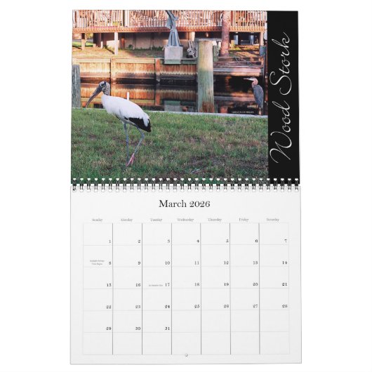 BACKYARD VRRDS KALENDER (Mär 2026)