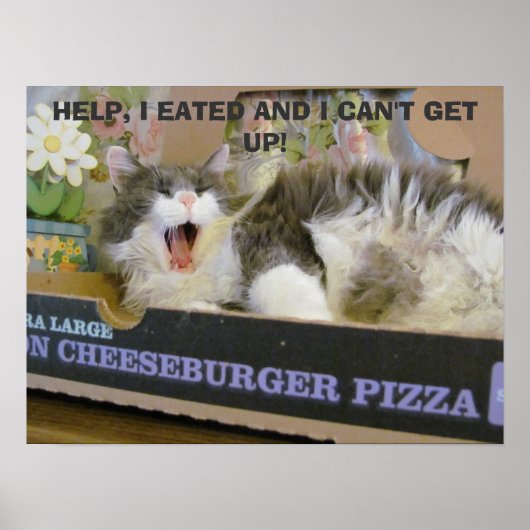 Bacon Cheeseburger Pizza Überdosis Kitty Poster (Vorne)