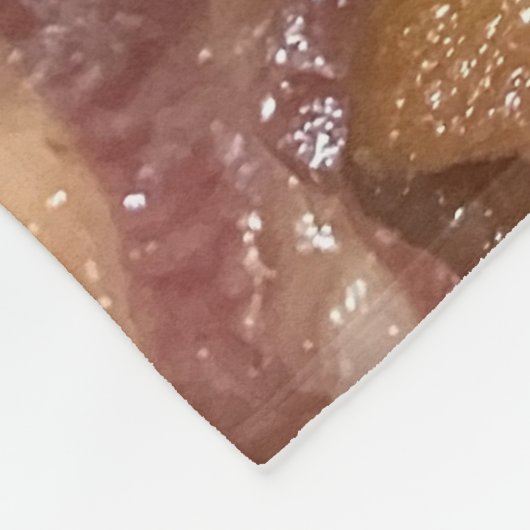 Bacon Fleecedecke (Ecke)