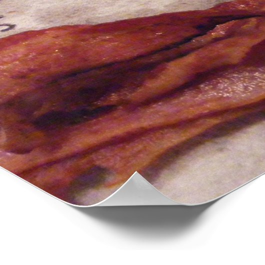 Bacon Poster (Ecke)