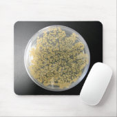 Bacteria Culture Plate Mousepad (Mit Mouse)