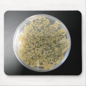 Bacteria Culture Plate Mousepad (Vorne)
