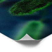 Bacteria Microbes Poster (Ecke)