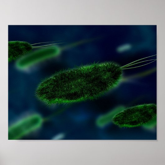 Bacteria Microbes Poster (Vorne)