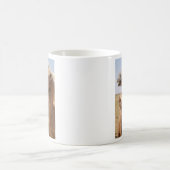 Bactrian Camel Portrait Kaffeetasse (Mittel)