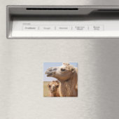 Bactrian Camel Portrait Magnet (In Situ (Geschirrspüler))