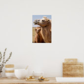 Bactrian Camel Portrait Poster (Küche)