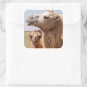 Bactrian Camel Portrait Quadratischer Aufkleber (Tasche)
